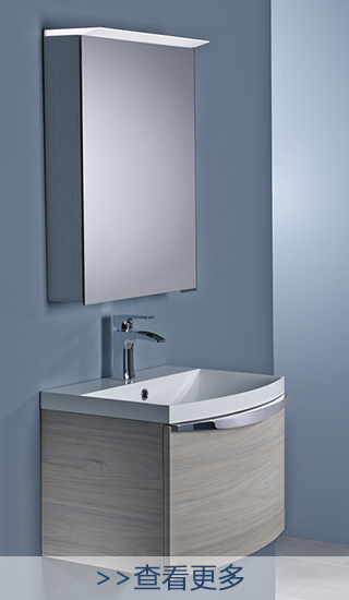 stainless_steel_vanity0