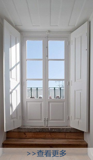 aluminum_swing_door0