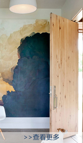 splid_wood_door0